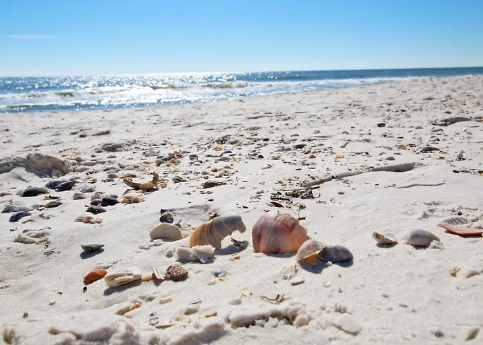 San Carlos 1406 By Youngs Suncoast Apartment Gulf Shores